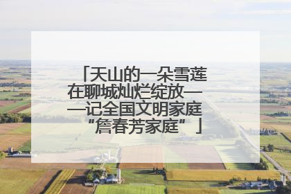 天山的一朵雪莲在聊城灿烂绽放——记全国文明家庭“詹春芳家庭”