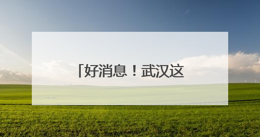 好消息！武汉这个区入选全国首批综合类典型案例
