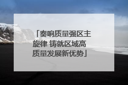奏响质量强区主旋律 铸就区域高质量发展新优势