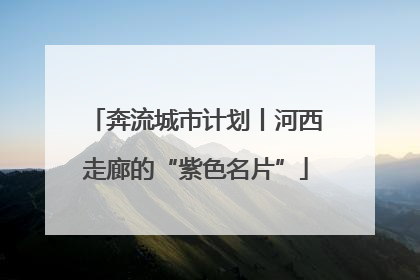 奔流城市计划丨河西走廊的“紫色名片”