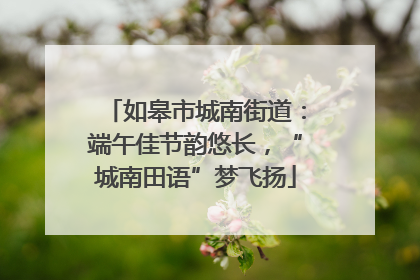 如皋市城南街道：端午佳节韵悠长，“城南田语”梦飞扬