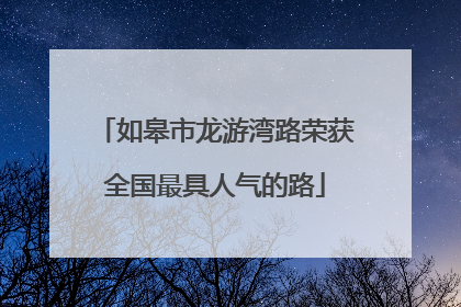 如皋市龙游湾路荣获全国最具人气的路