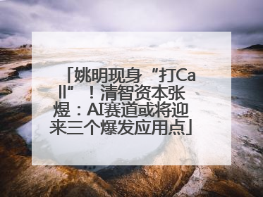 姚明现身“打Call”！清智资本张煜：AI赛道或将迎来三个爆发应用点