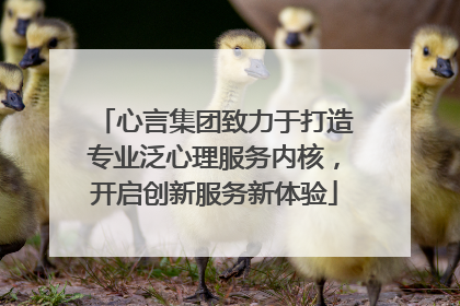 心言集团致力于打造专业泛心理服务内核，开启创新服务新体验