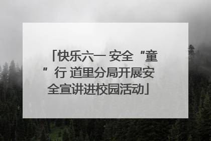快乐六一 安全“童”行 道里分局开展安全宣讲进校园活动