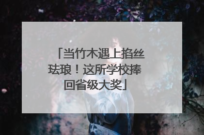 当竹木遇上掐丝珐琅！这所学校捧回省级大奖