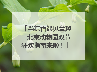 当粽香遇见童趣｜北京动物园双节狂欢指南来啦！