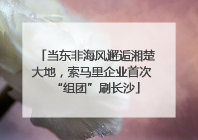 当东非海风邂逅湘楚大地，索马里企业首次“组团”刷长沙