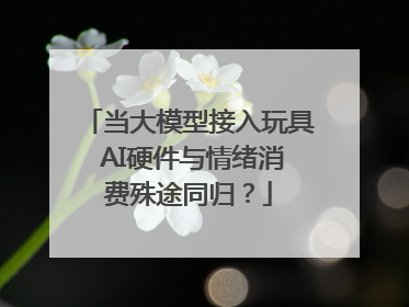 当大模型接入玩具 AI硬件与情绪消费殊途同归？