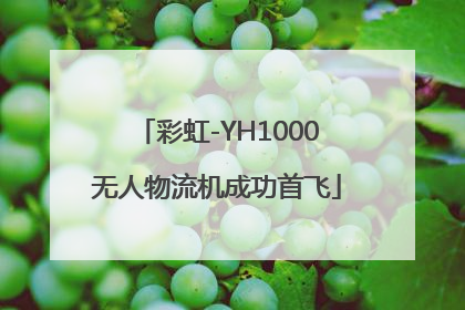 彩虹-YH1000无人物流机成功首飞