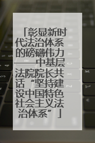 彰显新时代法治体系的磅礴伟力——中基层法院院长共话“坚持建设中国特色社会主义法治体系”