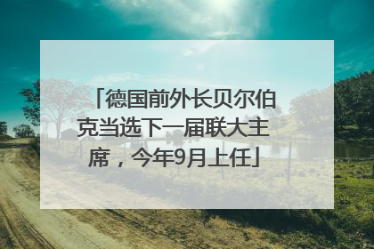 德国前外长贝尔伯克当选下一届联大主席，今年9月上任