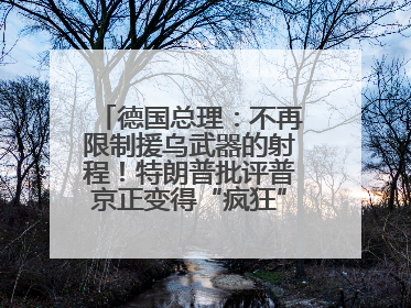 德国总理：不再限制援乌武器的射程！特朗普批评普京正变得“疯狂”，俄方最新回应