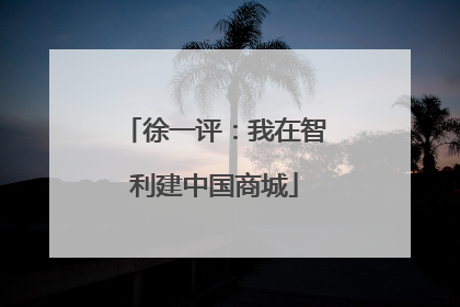 徐一评：我在智利建中国商城