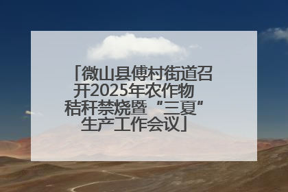 微山县傅村街道召开2025年农作物秸秆禁烧暨“三夏”生产工作会议