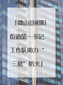 微山县昭阳街道第一书记工作队助力“三夏”防火