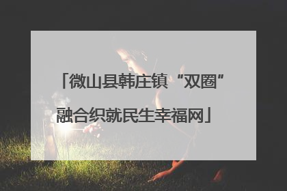 微山县韩庄镇“双圈”融合织就民生幸福网