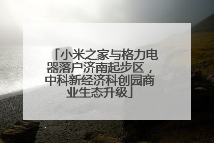 小米之家与格力电器落户济南起步区，中科新经济科创园商业生态升级