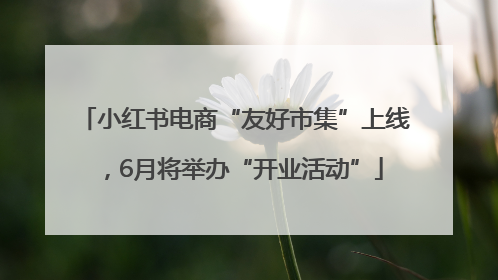小红书电商“友好市集”上线，6月将举办“开业活动”