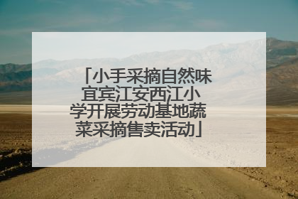小手采摘自然味 宜宾江安西江小学开展劳动基地蔬菜采摘售卖活动