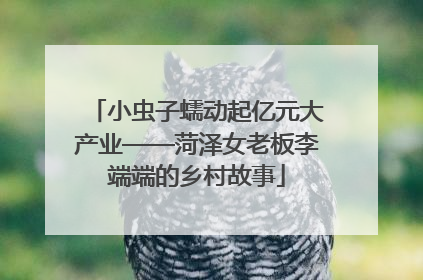 小虫子蠕动起亿元大产业——菏泽女老板李端端的乡村故事
