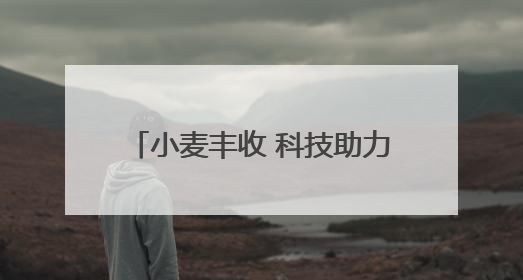 小麦丰收 科技助力 非遗也来凑热闹