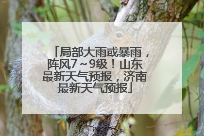 局部大雨或暴雨，阵风7～9级！山东最新天气预报，济南最新天气预报