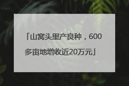 山窝头里产良种，600多亩地增收近20万元