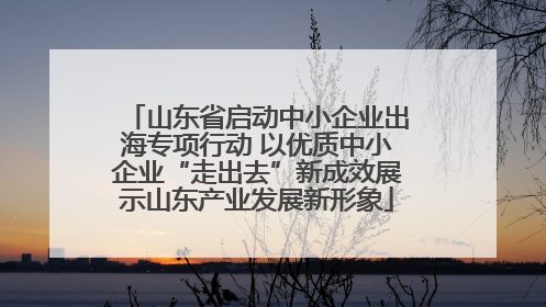 山东省启动中小企业出海专项行动 以优质中小企业“走出去”新成效展示山东产业发展新形象