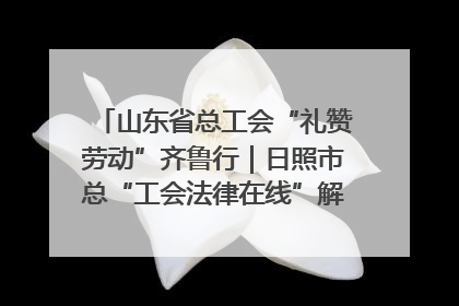 山东省总工会“礼赞劳动”齐鲁行｜日照市总“工会法律在线”解决职工愁“薪”事