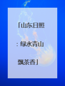 山东日照：绿水青山飘茶香