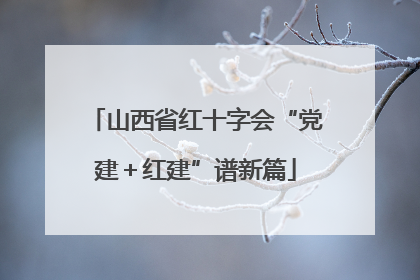 山西省红十字会“党建＋红建”谱新篇