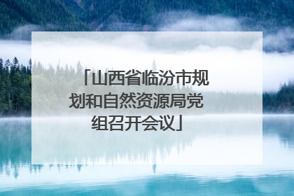 山西省临汾市规划和自然资源局党组召开会议