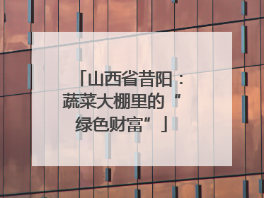 山西省昔阳：蔬菜大棚里的“绿色财富”
