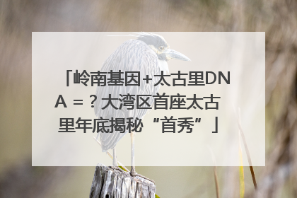 岭南基因+太古里DNA =？大湾区首座太古里年底揭秘“首秀”