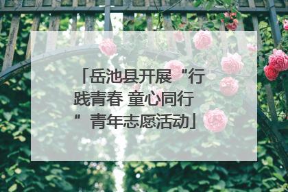 岳池县开展“行践青春 童心同行”青年志愿活动