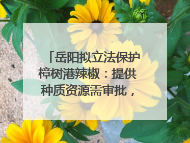 岳阳拟立法保护樟树港辣椒：提供种质资源需审批，违规最高罚5万