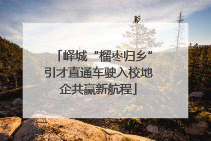 峄城“榴枣归乡”引才直通车驶入校地企共赢新航程