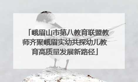 峨眉山市第八教育联盟教师齐聚峨眉实幼共探幼儿教育高质量发展新路径