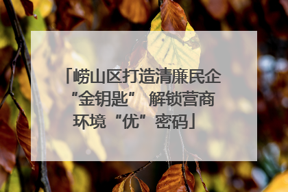 崂山区打造清廉民企“金钥匙” 解锁营商环境“优”密码
