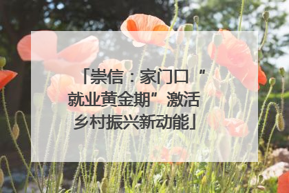 崇信：家门口“就业黄金期”激活乡村振兴新动能