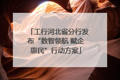 工行河北省分行发布“数智领航 赋企惠民”行动方案