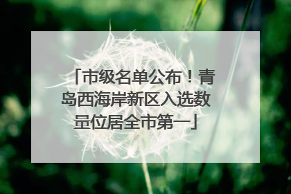 市级名单公布！青岛西海岸新区入选数量位居全市第一