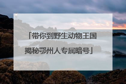 带你到野生动物王国揭秘鄂州人专属暗号