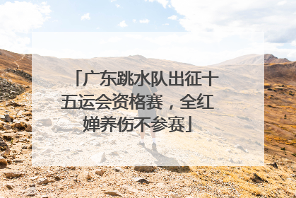 广东跳水队出征十五运会资格赛，全红婵养伤不参赛