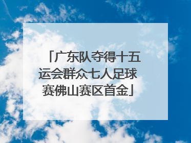 广东队夺得十五运会群众七人足球赛佛山赛区首金