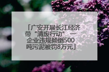 广安开展长江经济带“清废行动” 一企业违规倾倒500吨污泥被罚8万元