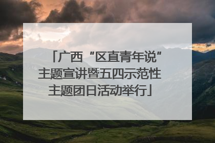 广西“区直青年说”主题宣讲暨五四示范性主题团日活动举行