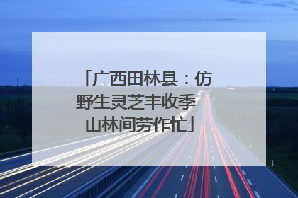 广西田林县：仿野生灵芝丰收季 山林间劳作忙