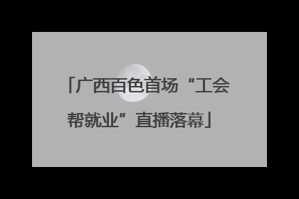 广西百色首场“工会帮就业”直播落幕